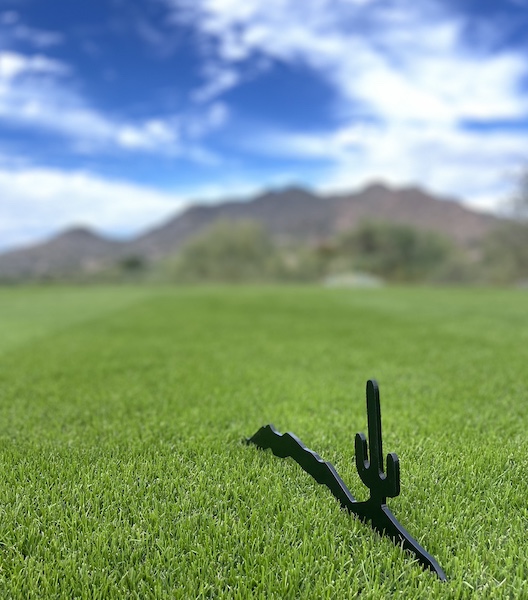 Cactus shaped t marker