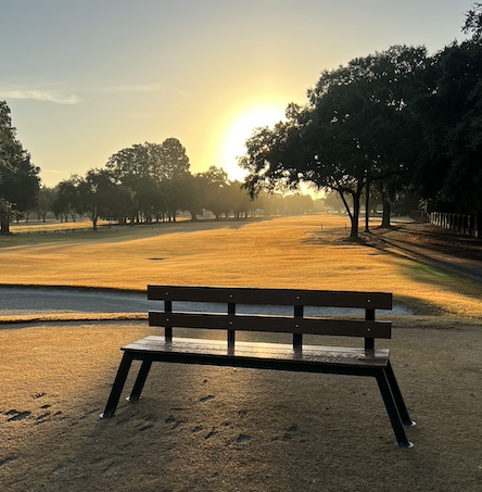 golf course bench with sunset